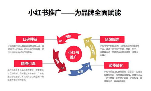 杭州哇鸥科技 小红书运营种草推广策略全解析，建议收藏的技术推广服务指南