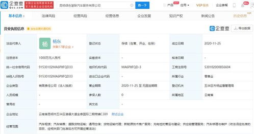 吉利关联企业布局新能源技术推广，加速绿色出行生态建设
